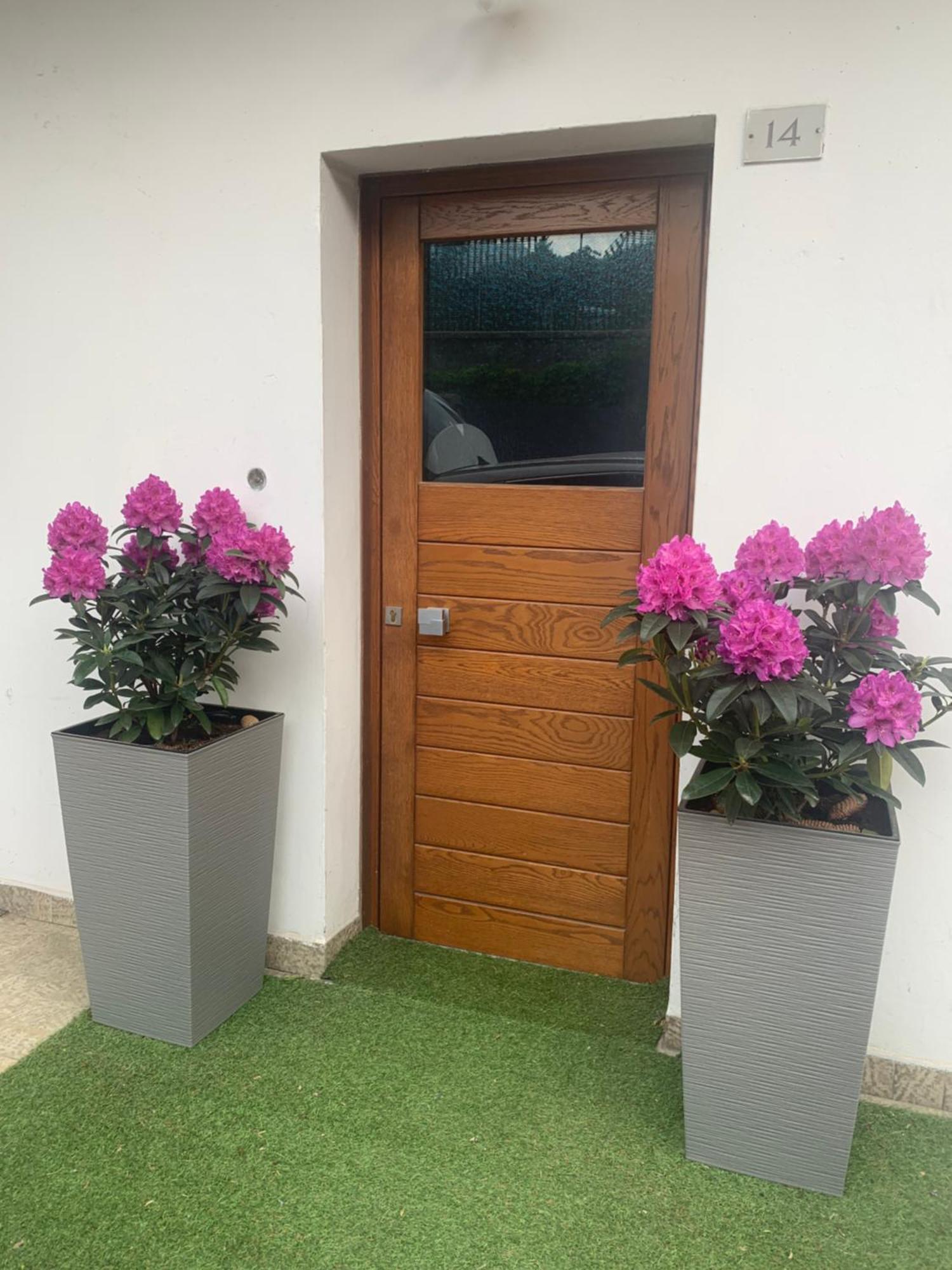 Appartamento Carducci Pieve di Cadore Exterior foto